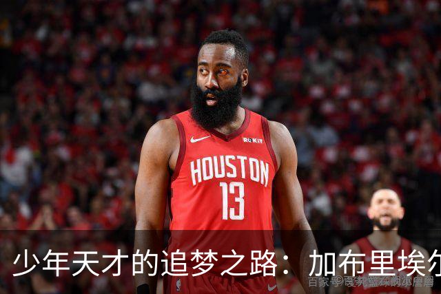 少年天才的追梦之路：加布里埃尔与曼联说再见？